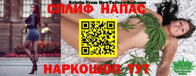 дживик Ливны