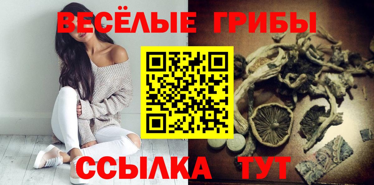 Псилоцибиновые грибы MAGIC MUSHROOMS Зеленогорск